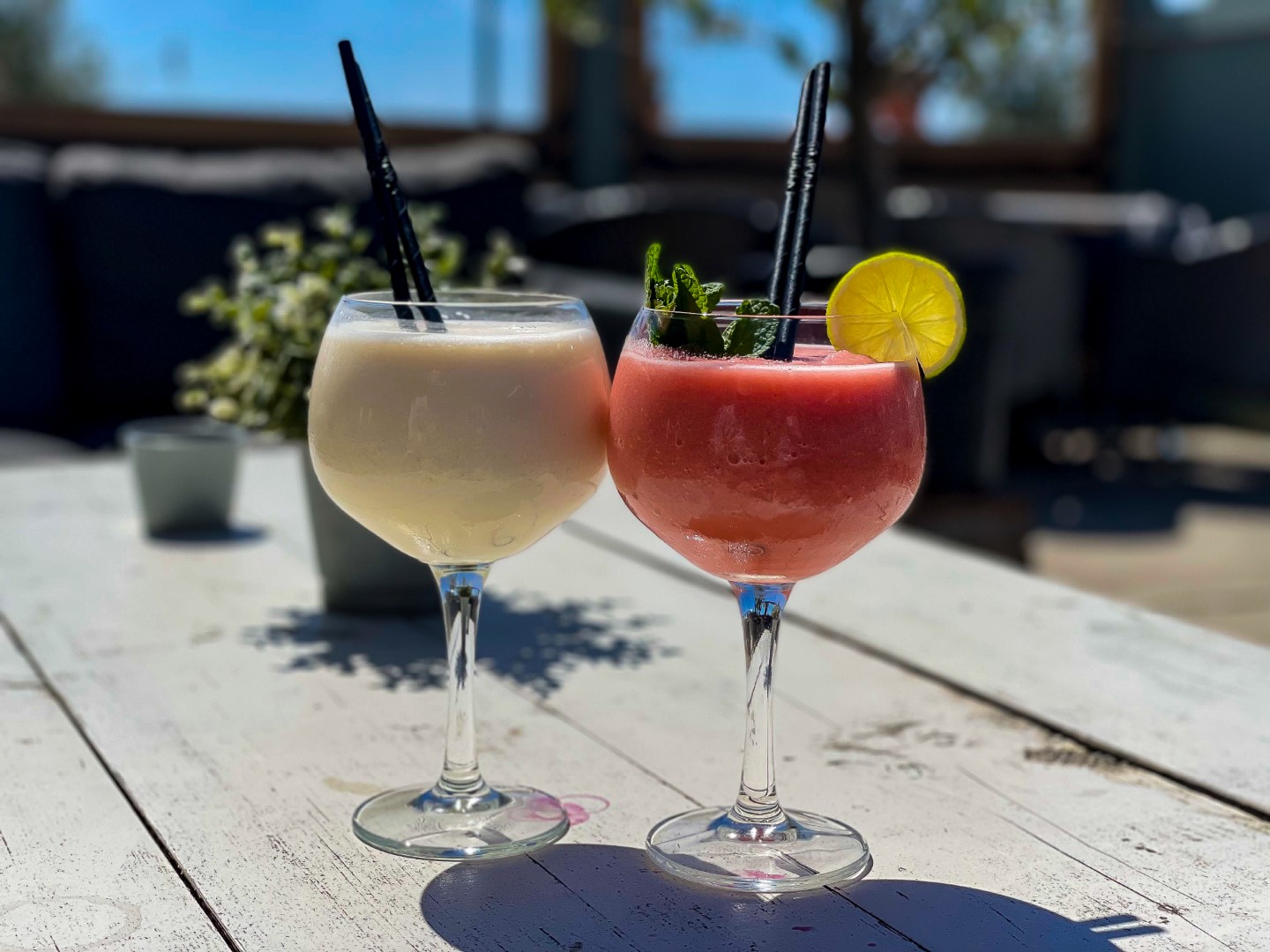 Cocktails zum Abschluss unserer Niederlande-Tour
