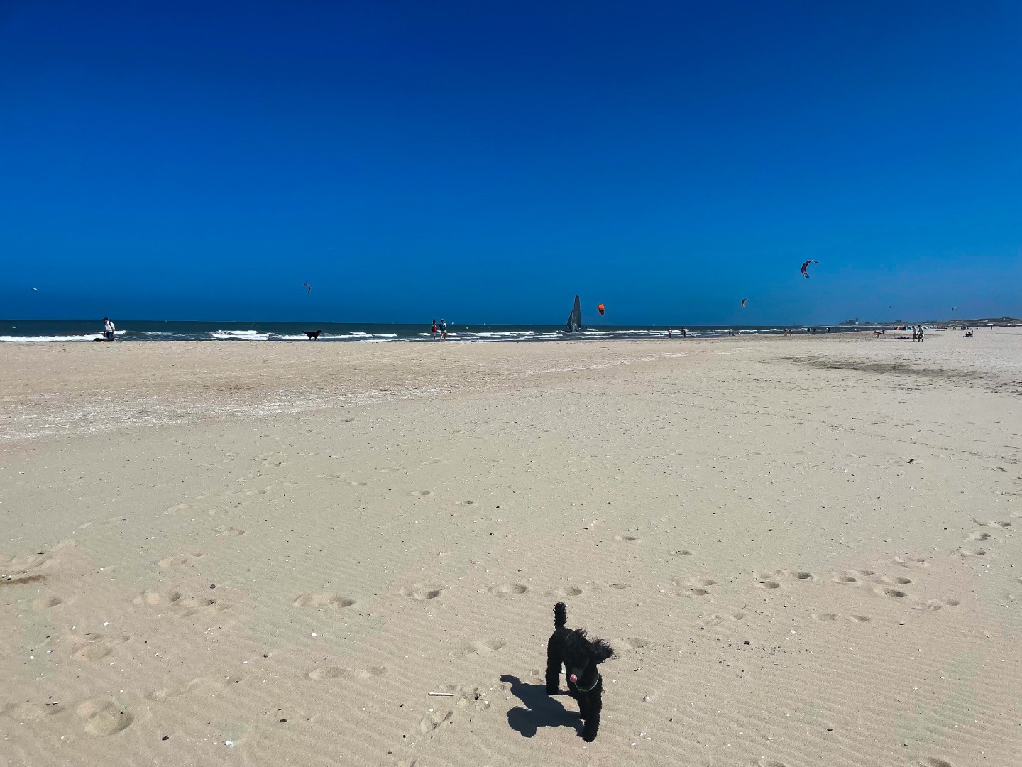 Spaziergang am Kijkduin Strand