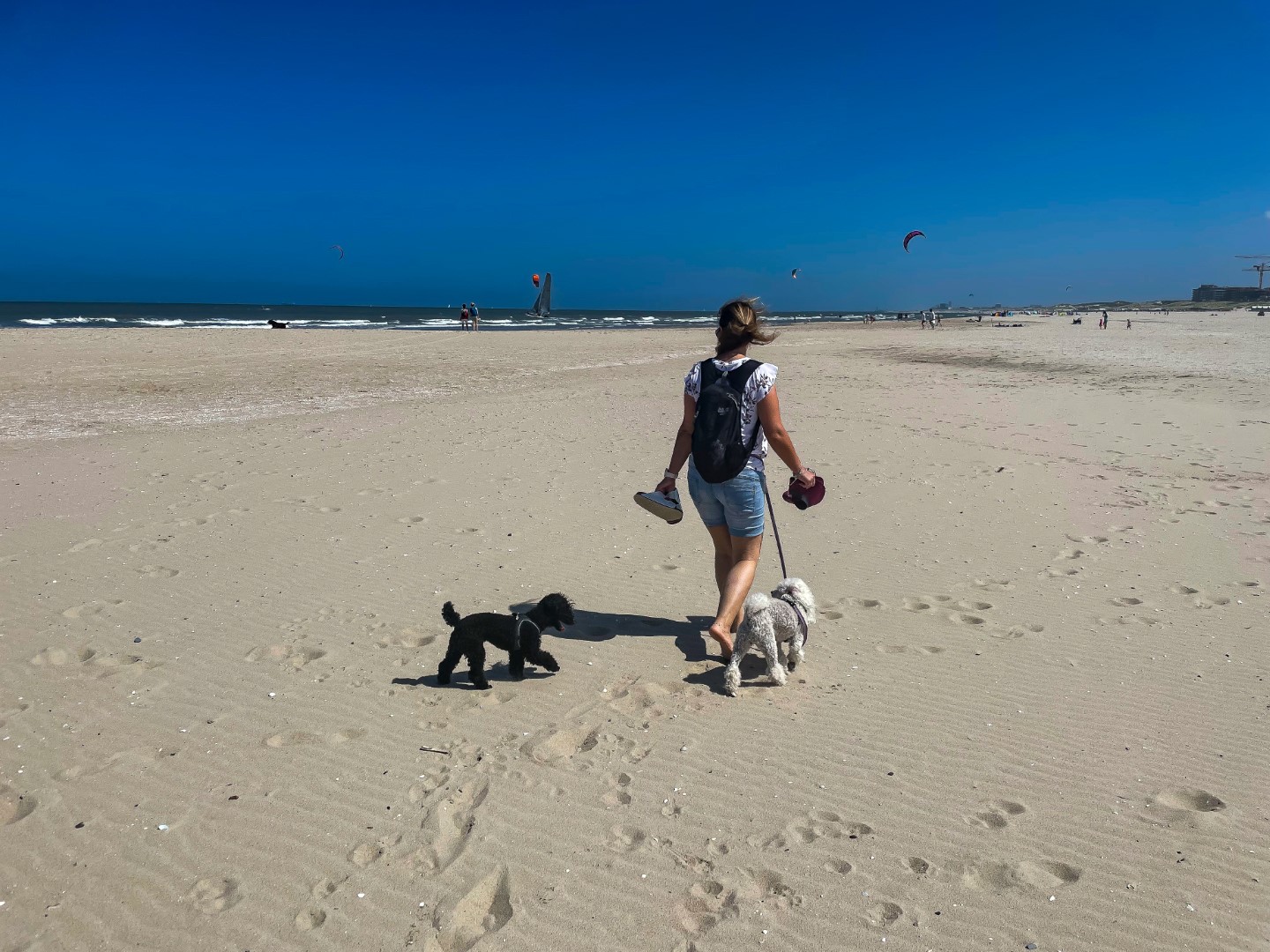Unterwegs am Strand von Kijkduin