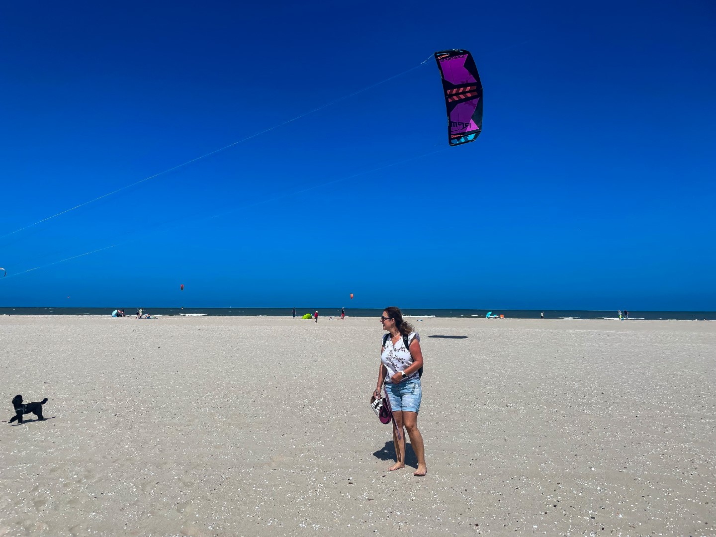 Unsere Hunde genießen den Strand