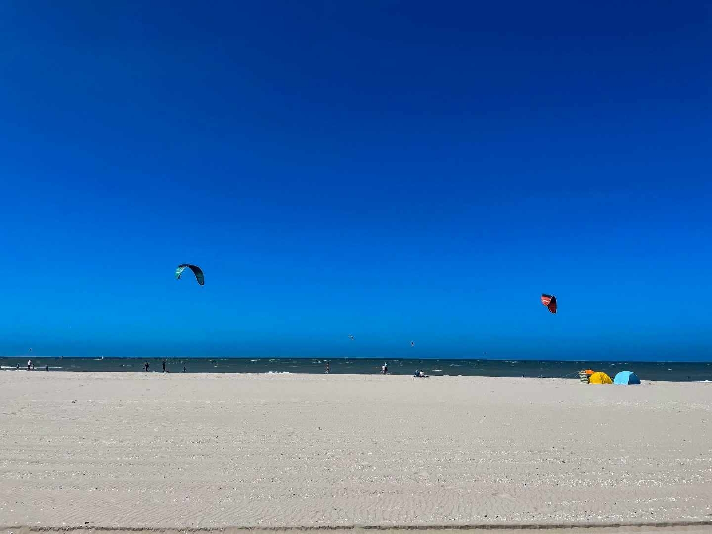 Cherry und Candy am Strand von Kijkduin